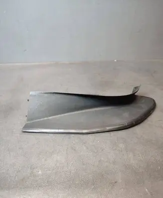 Rear/tail light trim molding