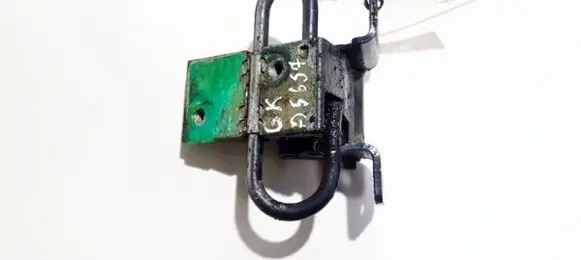 Rear door lower hinge