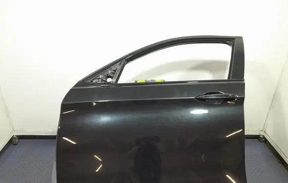 BMW X6 F16 Front door 