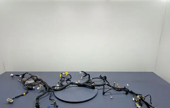 Hyundai Tucson TL Other wiring loom 91101-D7372