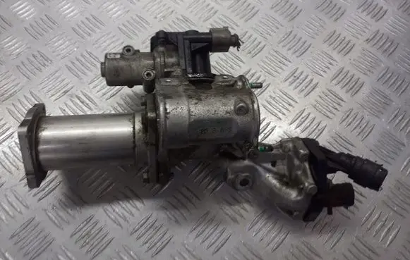 Nissan Note (E11) EGR valve cooler 8200729079
