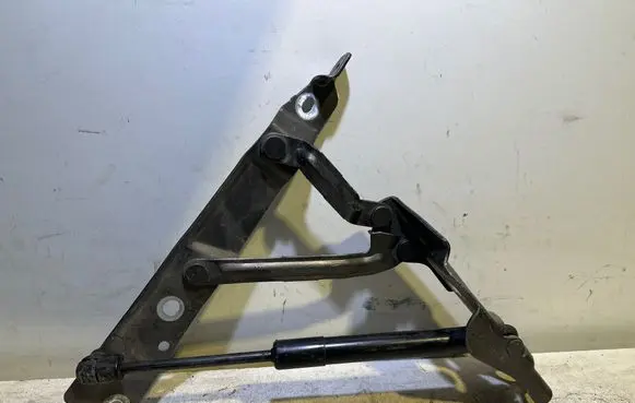 Dodge Challenger Tailgate/trunk/boot hinge 04589666