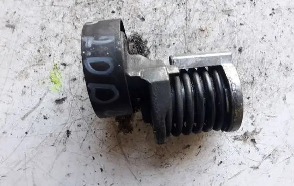 Skoda Octavia Mk2 (1Z) Generator/alternator belt tensioner