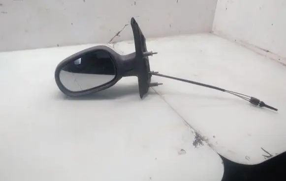 Renault Scenic I Manual wing mirror E1010461