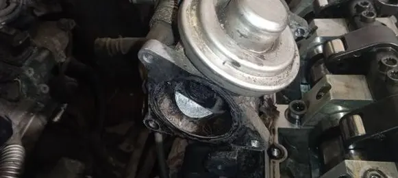 Seat Toledo III (5P) EGR valve 038129637D