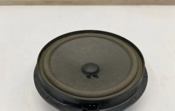Front door speaker