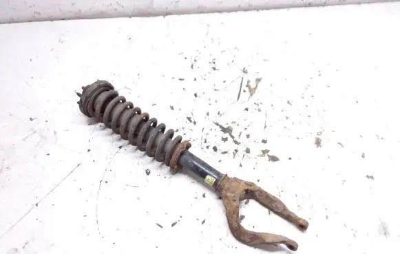 Honda Accord Front shock absorber with coil spring