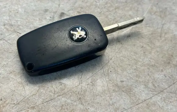 Peugeot 407 Ignition key/card 