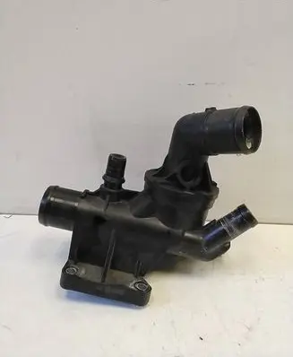 Thermostat/thermostat housing