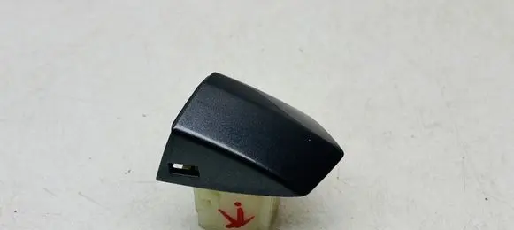 Audi Q8 e-tron Rear door handle cover 4M8837879
