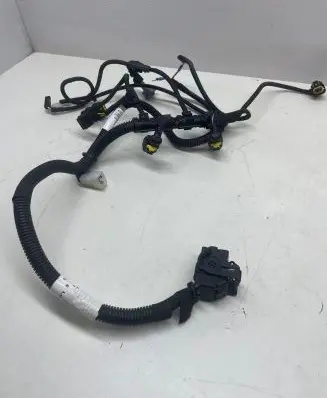 Ligier JS 50 Wiring harness 145230
