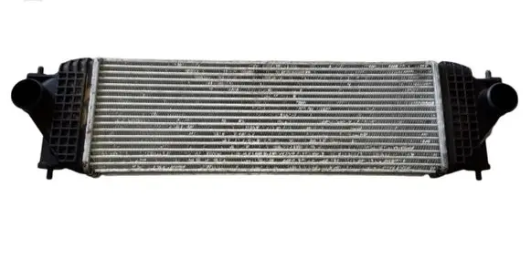 Suzuki Grand Vitara II Intercooler radiator 1362067J00