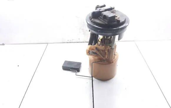 Peugeot 806 In-tank fuel pump 1462319080 09730609902
