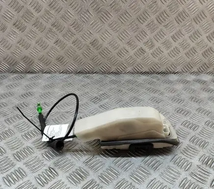 Tesla Model 3 Front door lock 106896300L