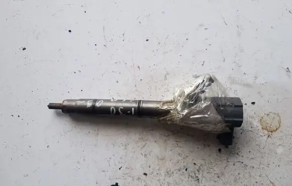 Hyundai i30 Fuel injector 0445110320