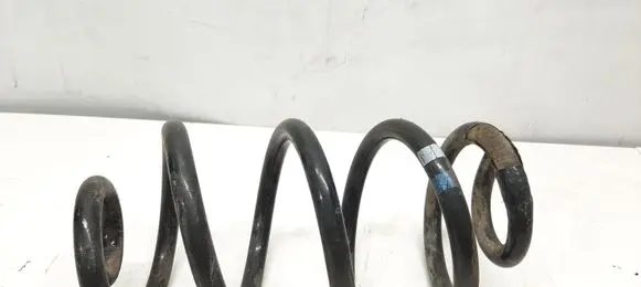 Nissan Qashqai Rear coil spring 55020JD04A