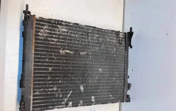 Opel Vivaro Coolant radiator 8200073817 868513D