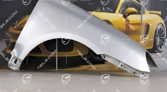 Porsche Cayenne (9PA) Fender 95550303201GRV