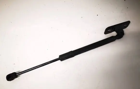 Tesla Model 3 Tailgate/trunk strut/damper 164598900A