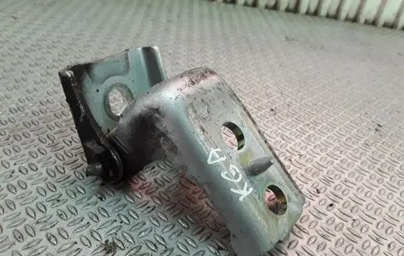 Peugeot 407 Rear door lower hinge