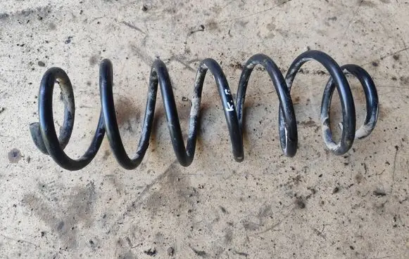 Rear coil spring