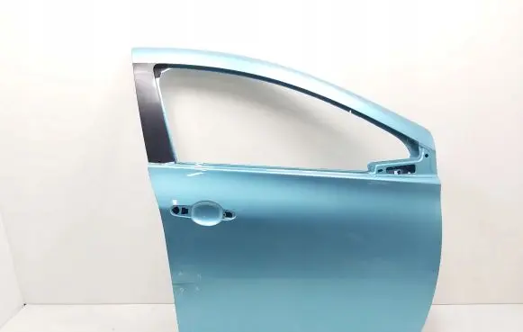 Renault Zoe Front door 801521112R