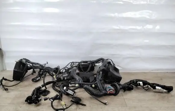Nissan Leaf I (ZE0) Other wiring loom