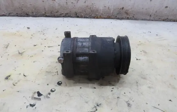 KIA Carens III Air conditioning (A/C) compressor (pump) F500-PNBCA12