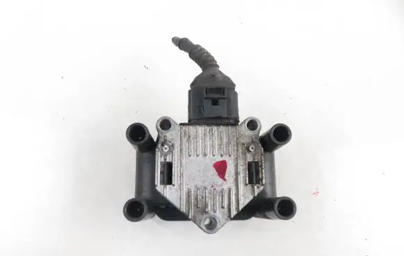 Volkswagen PASSAT B5.5 High voltage ignition coil GN10018