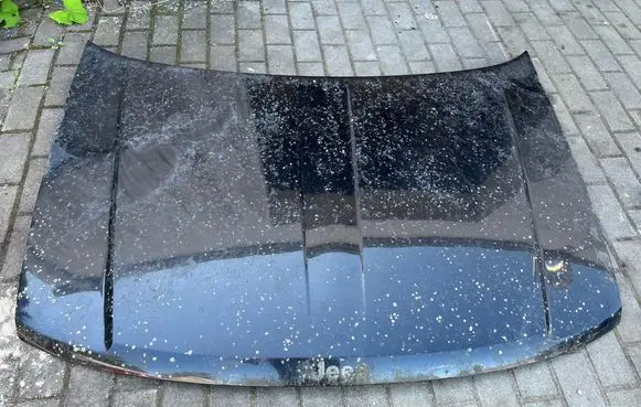 Jeep Grand Cherokee (WJ) Engine bonnet/hood