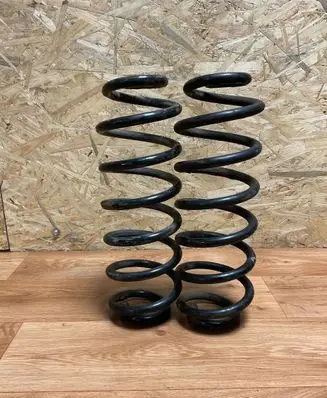 Volkswagen PASSAT B6 Rear coil spring 