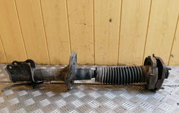 Rear shock absorber/damper