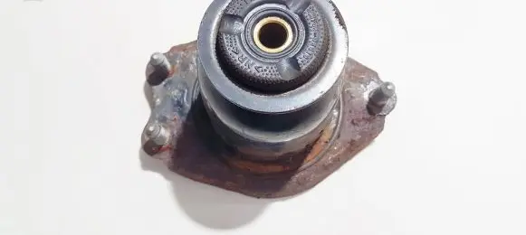 Coil spring mount