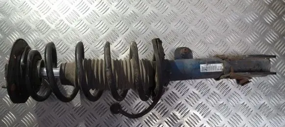 Chevrolet Captiva Front coil spring