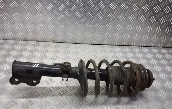 Chevrolet Aveo Front shock absorber/damper