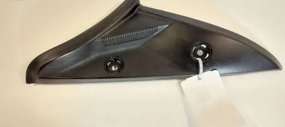Rear/tail light trim molding