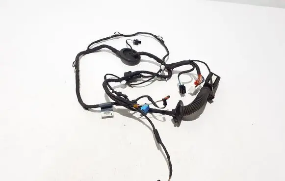 Audi A5 Other wiring loom 8W8971029T