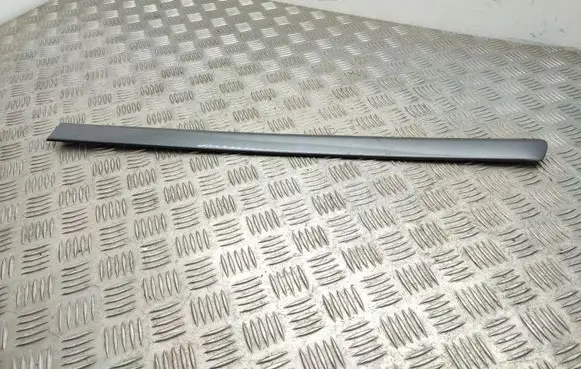 Seat Exeo (3R) Rear door trim (molding) 8E0853963