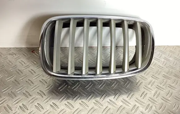 BMW X5 E70 Front bumper lower grill 51137171395 51317157687 51317185223