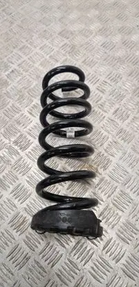 Rear coil spring