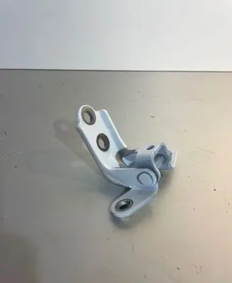 Hyundai Kona II Rear door lower hinge
