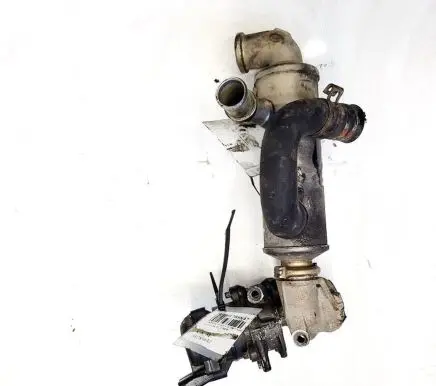 Citroen C4 I EGR valve