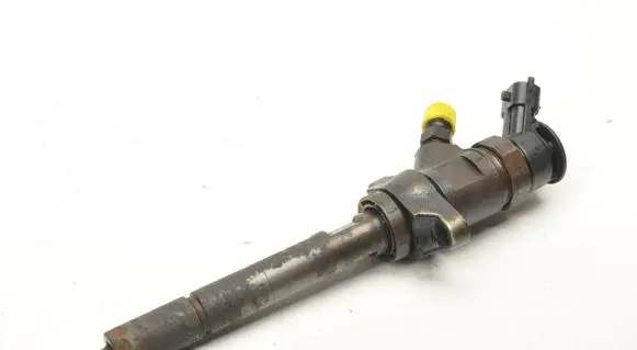 Citroen C4 I Picasso Fuel injector 0445110297