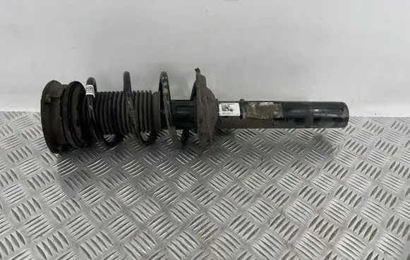 Volkswagen Tiguan Front shock absorber with coil spring 5QF412021PT