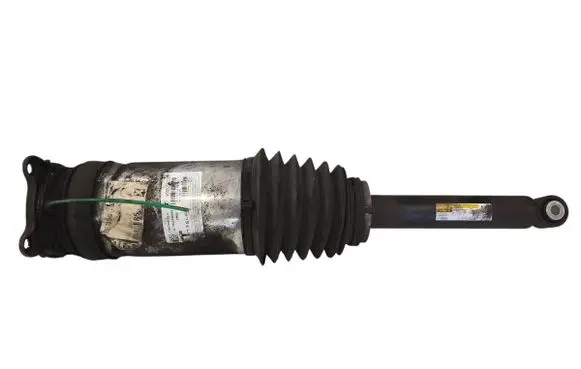Tesla Model S Shock absorber/damper/air suspension 106746625C W309255101