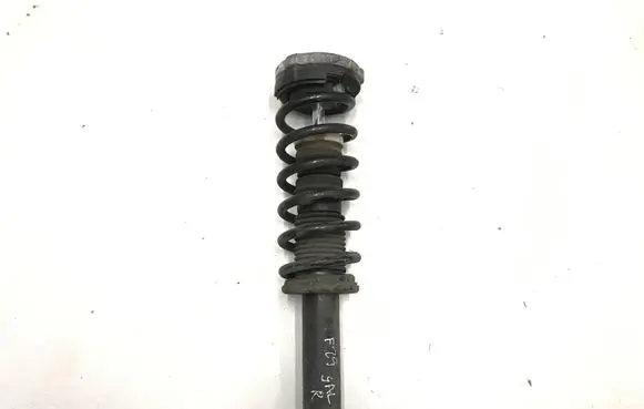 BMW X3 F25 Rear shock absorber/damper 6796317