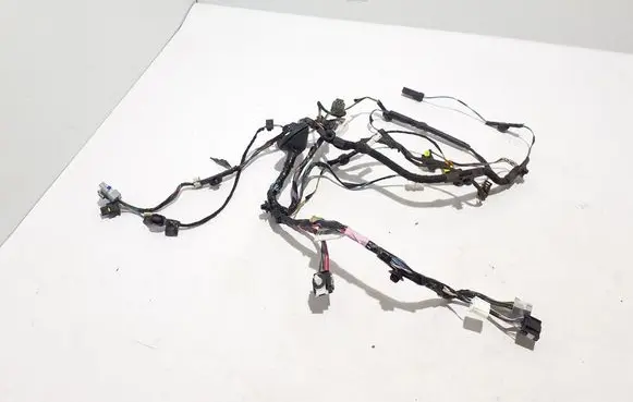 Tesla Model X Other wiring loom 103244270G