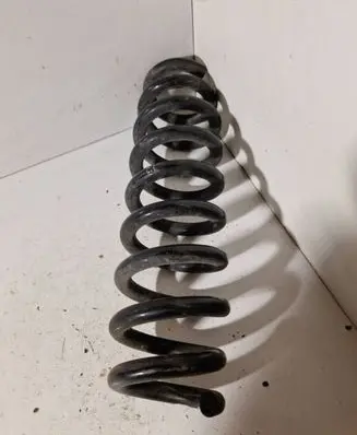 Rear coil spring
