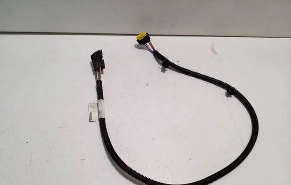 Peugeot Expert Other wiring loom 9813866080