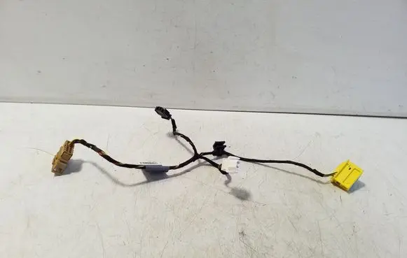 Other wiring loom